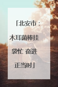 北安市：木耳菌棒挂袋忙 奋进正当时