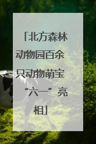 北方森林动物园百余只动物萌宝“六一”亮相