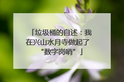 垃圾桶的自述：我在兴山水月寺做起了“数字岗哨”
