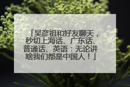 吴彦祖和好友聊天，秒切上海话、广东话、普通话、英语：无论讲啥我们都是中国人！