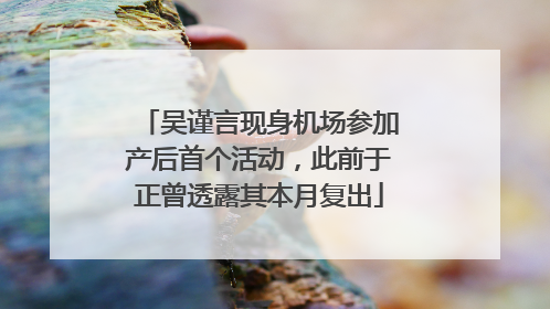 吴谨言现身机场参加产后首个活动，此前于正曾透露其本月复出