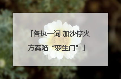 各执一词 加沙停火方案陷“罗生门”