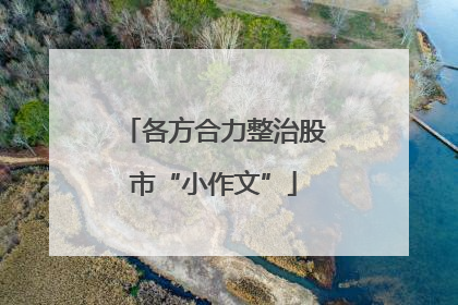 各方合力整治股市“小作文”