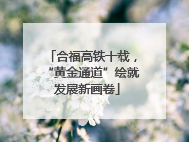 合福高铁十载，“黄金通道”绘就发展新画卷