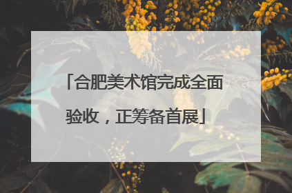 合肥美术馆完成全面验收，正筹备首展