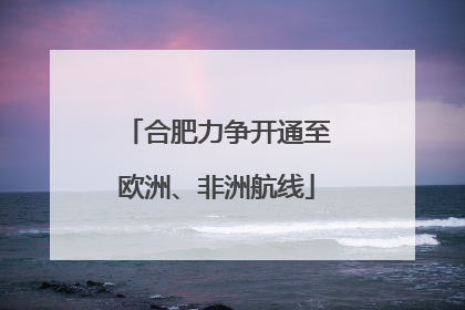 合肥力争开通至欧洲、非洲航线