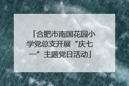 合肥市南国花园小学党总支开展“庆七一”主题党日活动