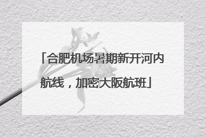 合肥机场暑期新开河内航线，加密大阪航班