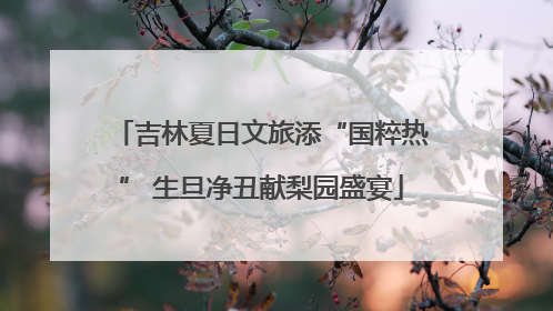吉林夏日文旅添“国粹热” 生旦净丑献梨园盛宴