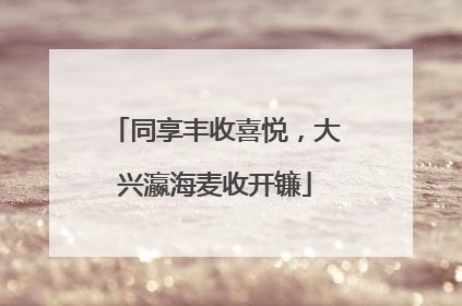 同享丰收喜悦，大兴瀛海麦收开镰