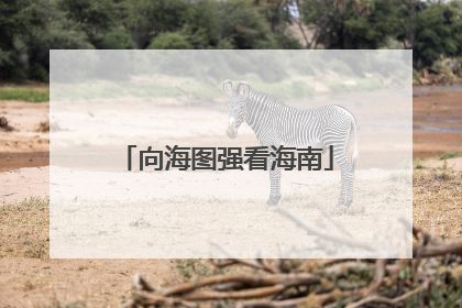 向海图强看海南