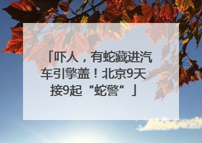 吓人，有蛇藏进汽车引擎盖！北京9天接9起“蛇警”
