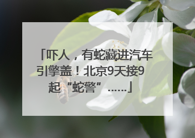 吓人，有蛇藏进汽车引擎盖！北京9天接9起“蛇警”……