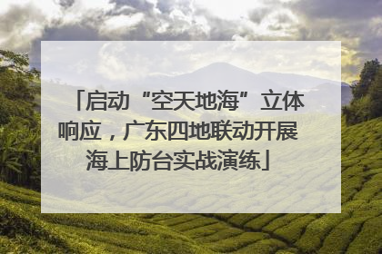 启动“空天地海”立体响应，广东四地联动开展海上防台实战演练