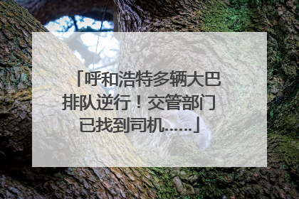 呼和浩特多辆大巴排队逆行！交管部门已找到司机……