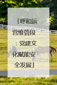 呼和运营维管段：党建文化赋能安全发展