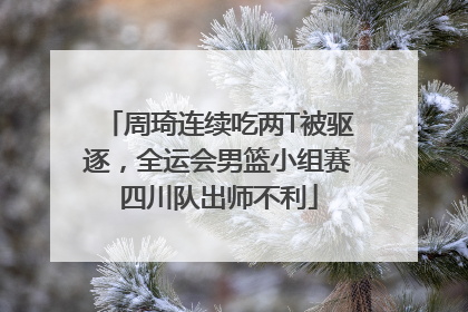 周琦连续吃两T被驱逐，全运会男篮小组赛四川队出师不利