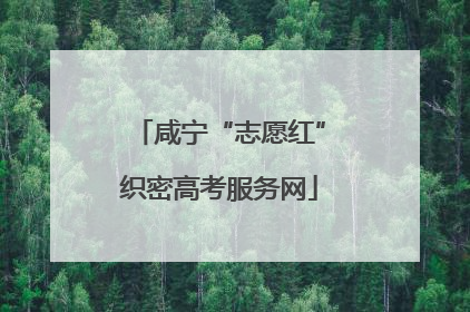 咸宁“志愿红”织密高考服务网