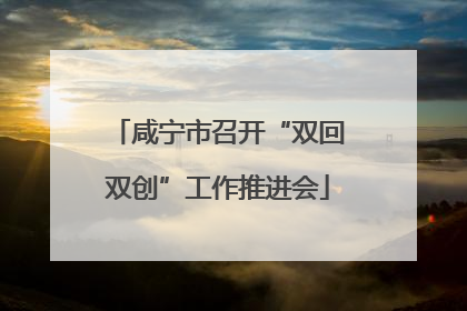 咸宁市召开“双回双创”工作推进会