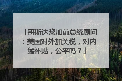 哥斯达黎加前总统顾问：美国对外加关税，对内猛补贴，公平吗？