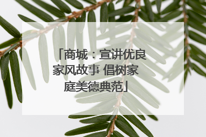 商城：宣讲优良家风故事 倡树家庭美德典范