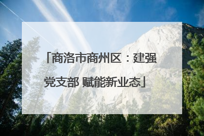 商洛市商州区：建强党支部 赋能新业态