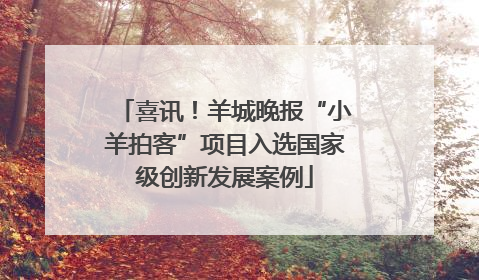 喜讯！羊城晚报“小羊拍客”项目入选国家级创新发展案例