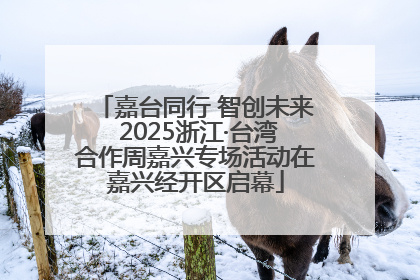 嘉台同行 智创未来 2025浙江·台湾合作周嘉兴专场活动在嘉兴经开区启幕