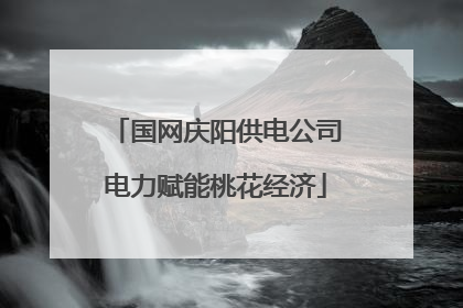 国网庆阳供电公司电力赋能桃花经济