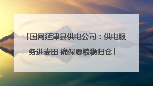 国网延津县供电公司：供电服务进麦田 确保夏粮稳归仓