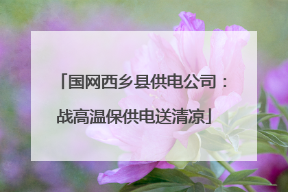 国网西乡县供电公司：战高温保供电送清凉