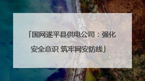 国网遂平县供电公司：强化安全意识 筑牢网安防线