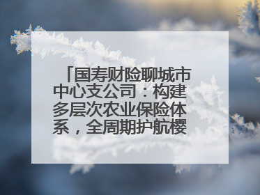 国寿财险聊城市中心支公司：构建多层次农业保险体系，全周期护航樱桃产业发展