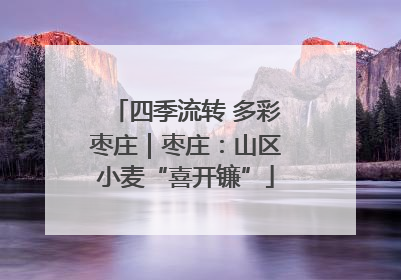 四季流转 多彩枣庄｜枣庄：山区小麦“喜开镰”