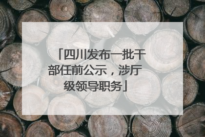 四川发布一批干部任前公示，涉厅级领导职务