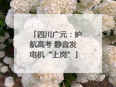 四川广元：护航高考 静音发电机“上岗”
