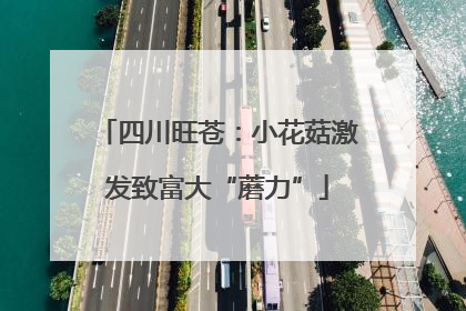 四川旺苍：小花菇激发致富大“蘑力”