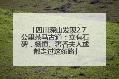四川深山发现2.7公里茶马古道：立有石碑，杨慎、奢香夫人或都走过这条路