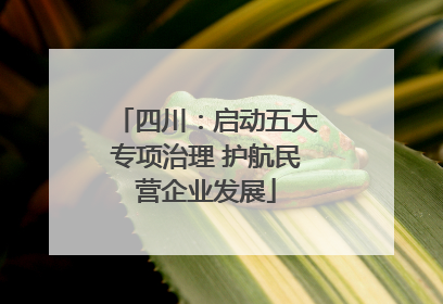 四川：启动五大专项治理 护航民营企业发展