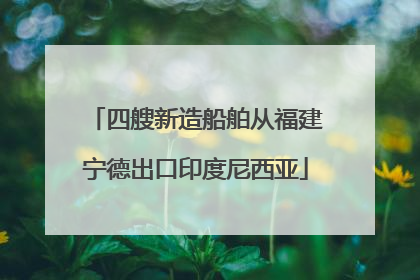 四艘新造船舶从福建宁德出口印度尼西亚
