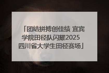 团结拼搏创佳绩 宜宾学院田径队闪耀2025四川省大学生田径赛场