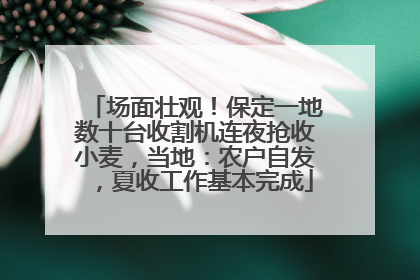 场面壮观！保定一地数十台收割机连夜抢收小麦，当地：农户自发，夏收工作基本完成