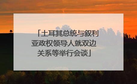 土耳其总统与叙利亚政权领导人就双边关系等举行会谈