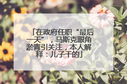 在政府任职“最后一天”，马斯克眼角淤青引关注，本人解释：儿子干的