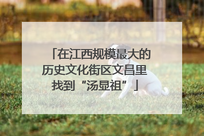 在江西规模最大的历史文化街区文昌里找到“汤显祖”