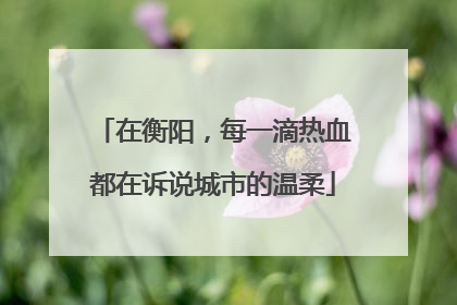 在衡阳，每一滴热血都在诉说城市的温柔