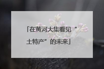 在黄河大集看见“土特产”的未来