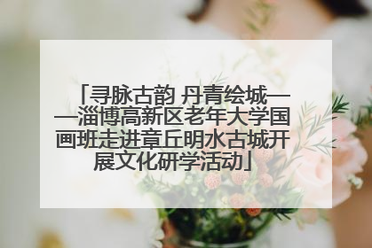 寻脉古韵 丹青绘城——淄博高新区老年大学国画班走进章丘明水古城开展文化研学活动
