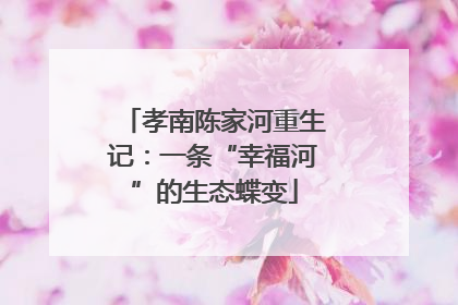 孝南陈家河重生记：一条“幸福河”的生态蝶变