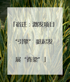 宿迁：激发项目“引擎” 挺起发展“脊梁”